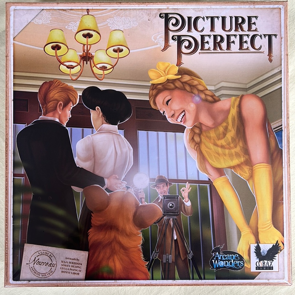 NIB Picture Perfect game by Arcane Wonder